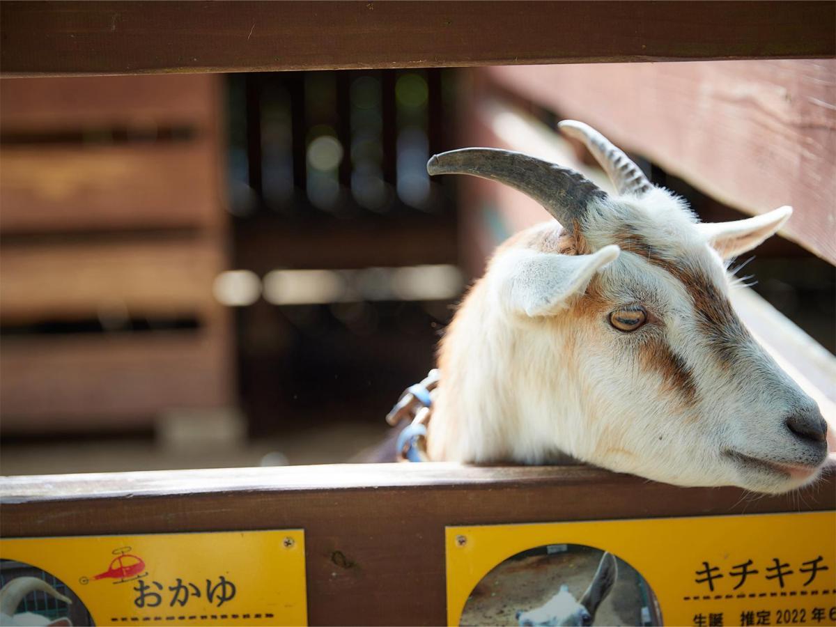 Hotel Murasakimura Yomitan Buitenkant foto